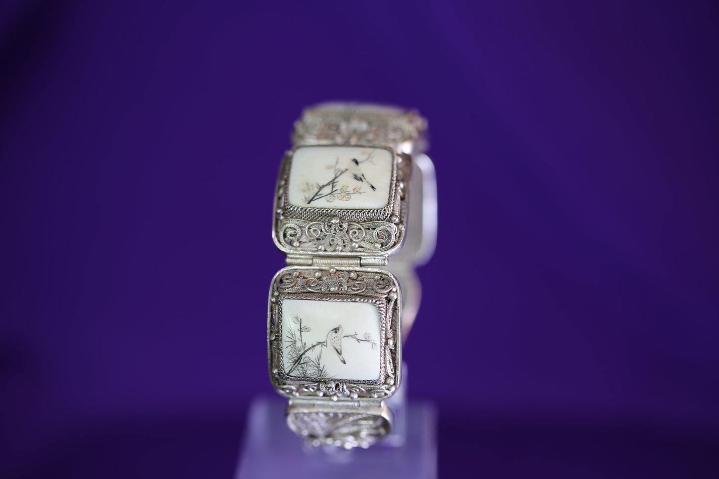 Bones and Birds - The Love Witch