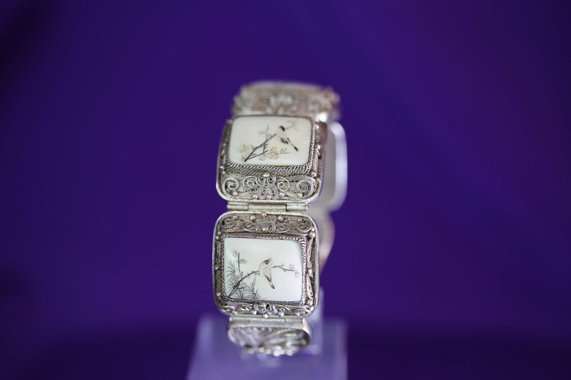 Bones and Birds - The Love Witch