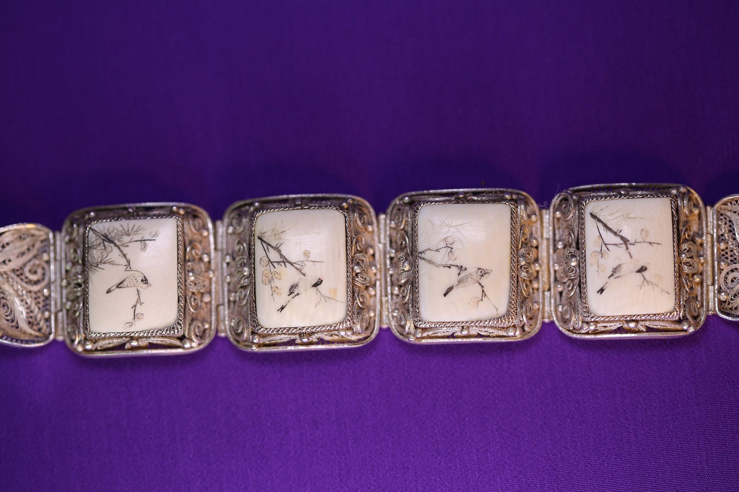 Bones and Birds - The Love Witch