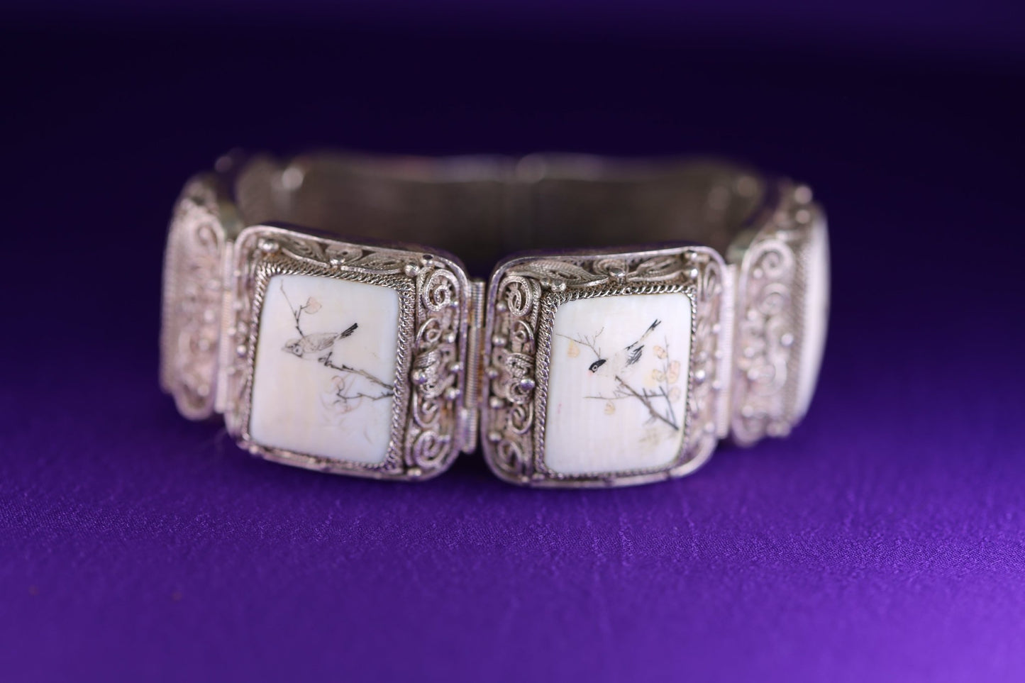 Bones and Birds - The Love Witch